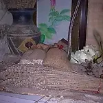 Sigurata Ii מלון דוברובניק